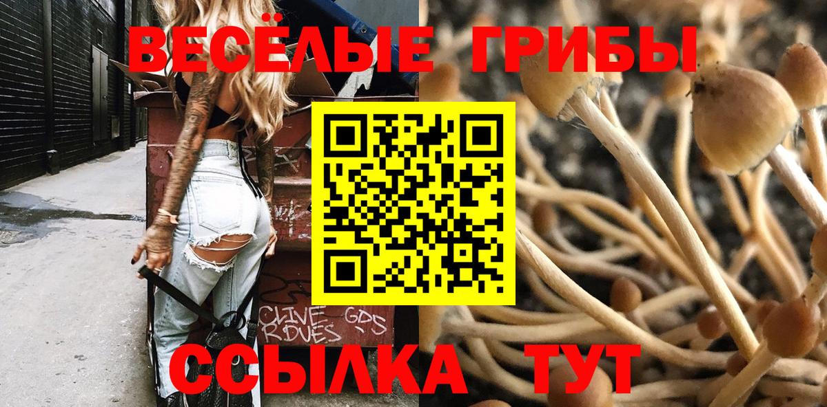 Псилоцибиновые грибы прущие грибы  Вход с VPN  сколько стоит  Сарапул 